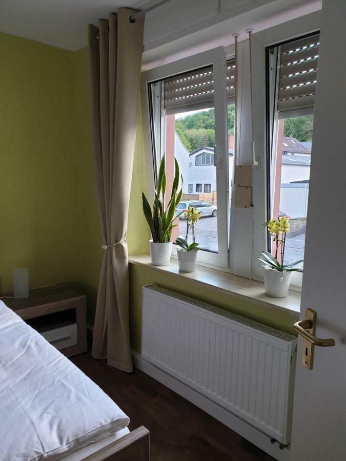 Ferienwohnung Steiner 홈부르크 외부 사진